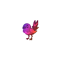 Rainbow Fletchling